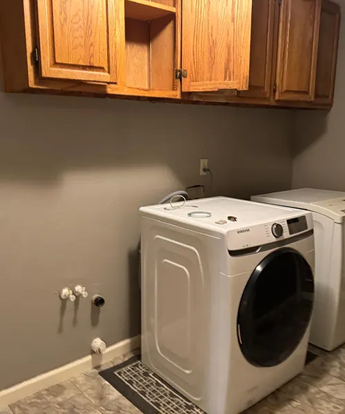 Dogwash in Sammamish 